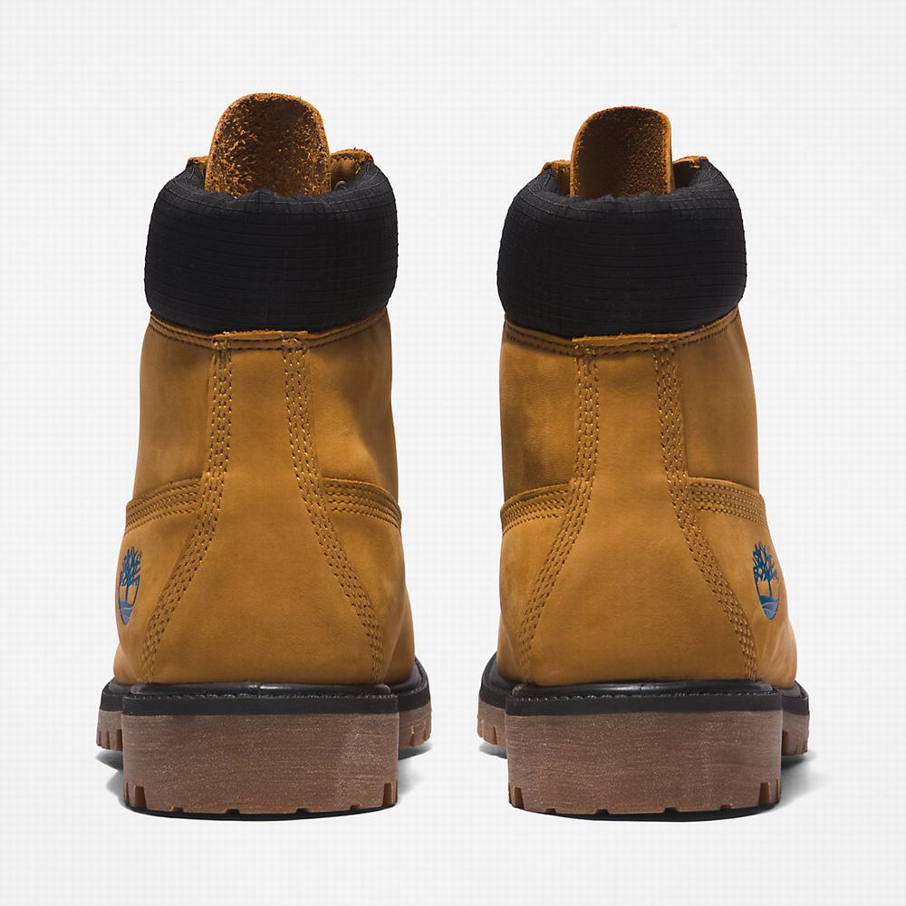 Timberland Premium® 6 Inch Bot Erkek Açık Kahverengi | TR-3254M