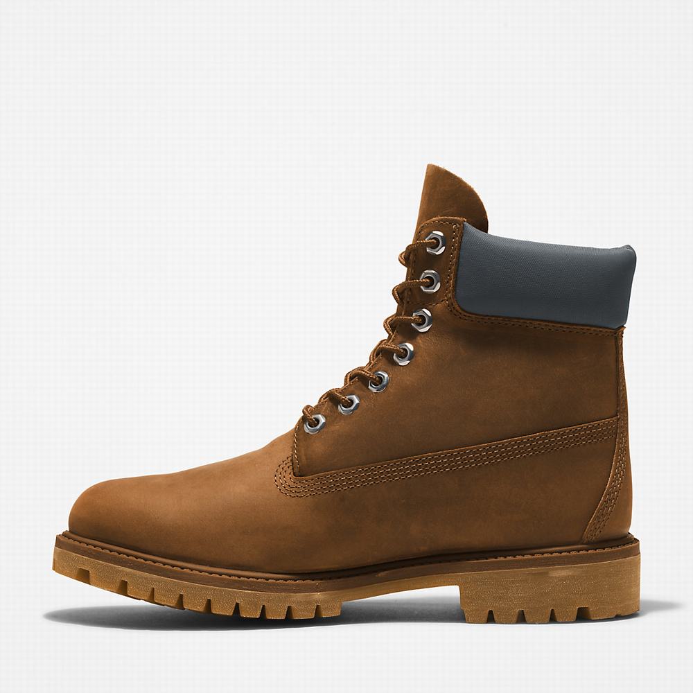 Timberland Premium® 6 Inch Bot Erkek Kahverengi | TR-9403F
