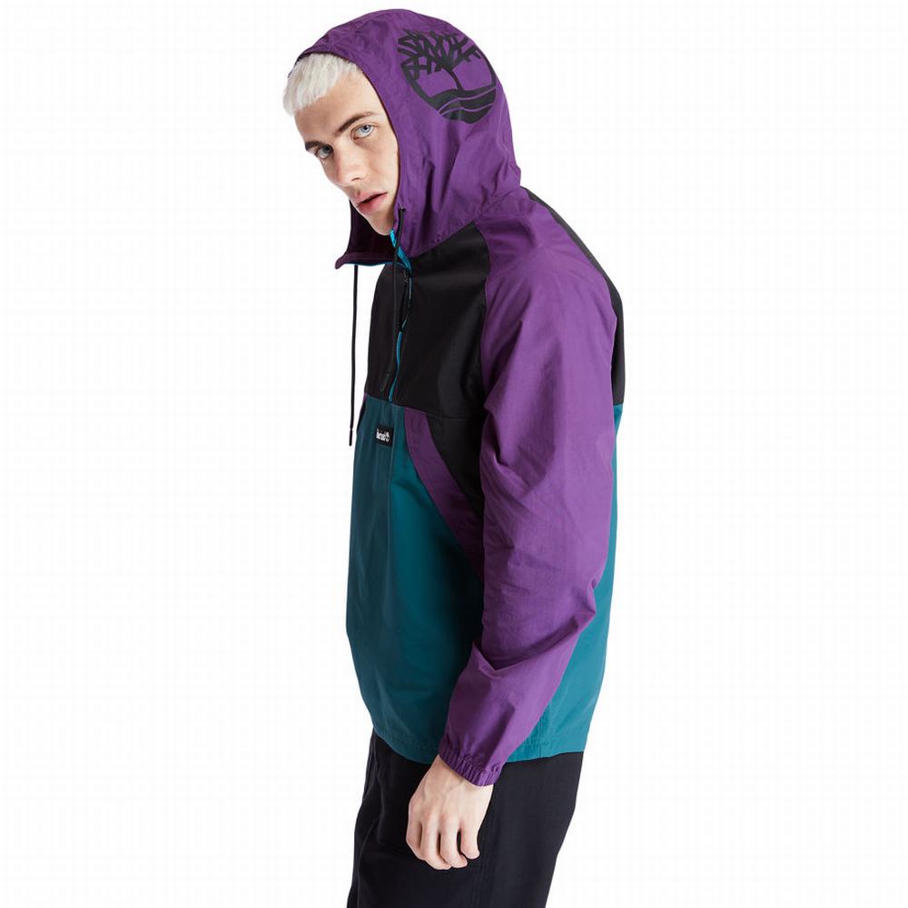 Timberland Pullover Rüzgarlık Erkek Mor | TR-8405G
