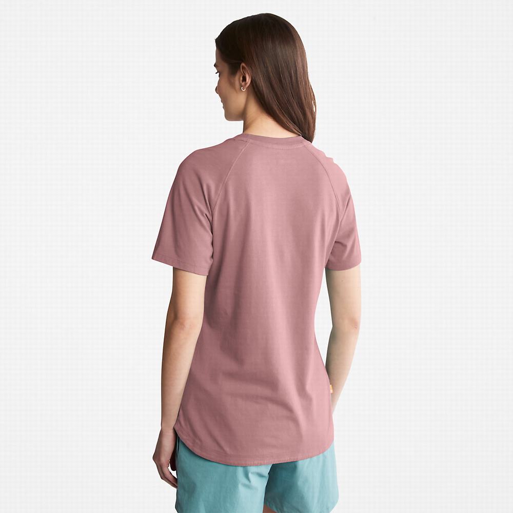 Timberland Raglan-sleeve Logo Tişört Kadın Pembe | TR-5039U