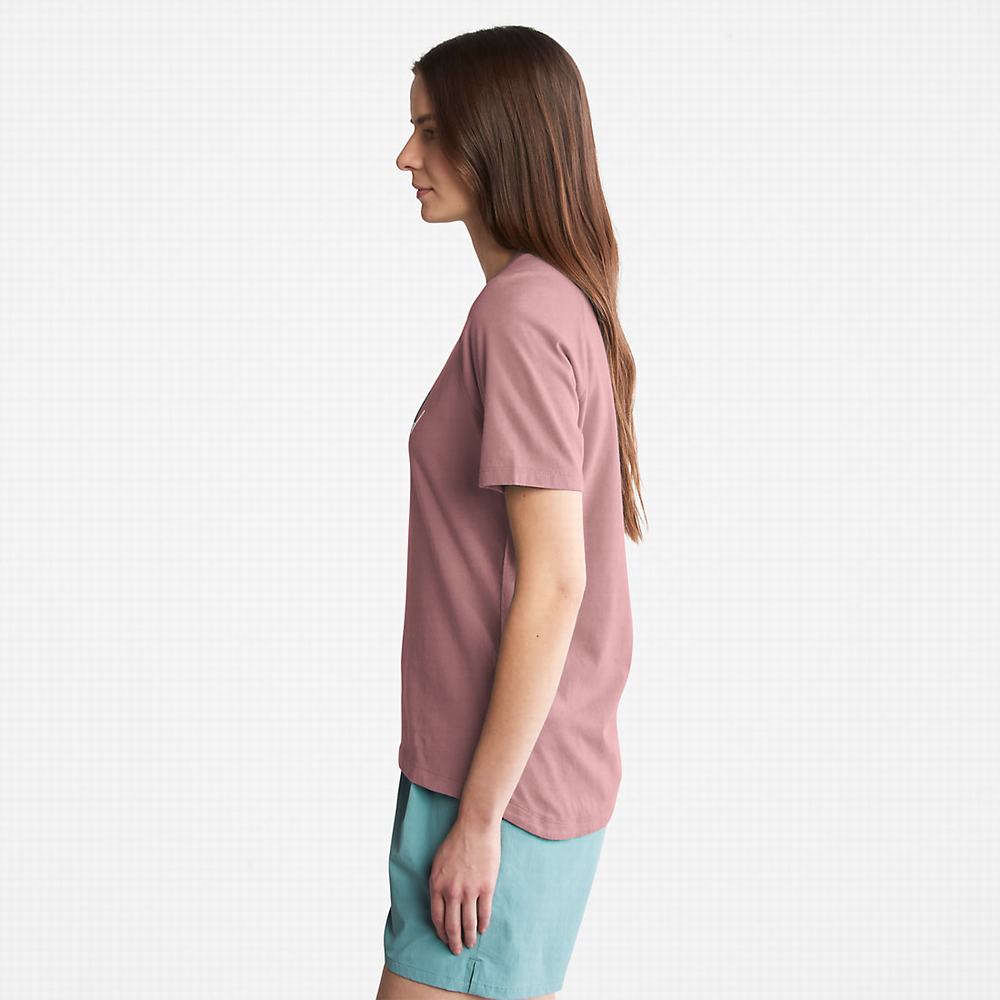 Timberland Raglan-sleeve Logo Tişört Kadın Pembe | TR-5039U