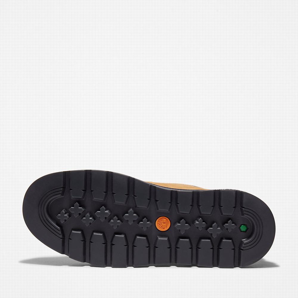 Timberland Ray City 6 Inch Bot Kadın Kahverengi | TR-8170Q