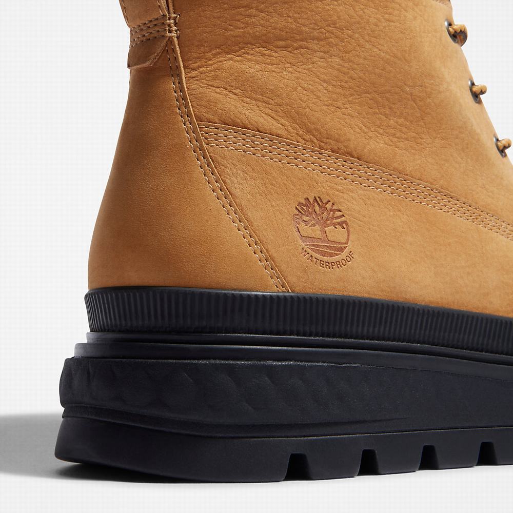 Timberland Ray City 6 Inch Bot Kadın Kahverengi | TR-8170Q