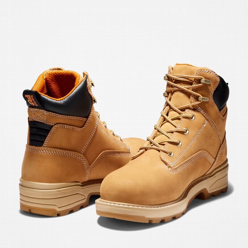 Timberland Resistor 6