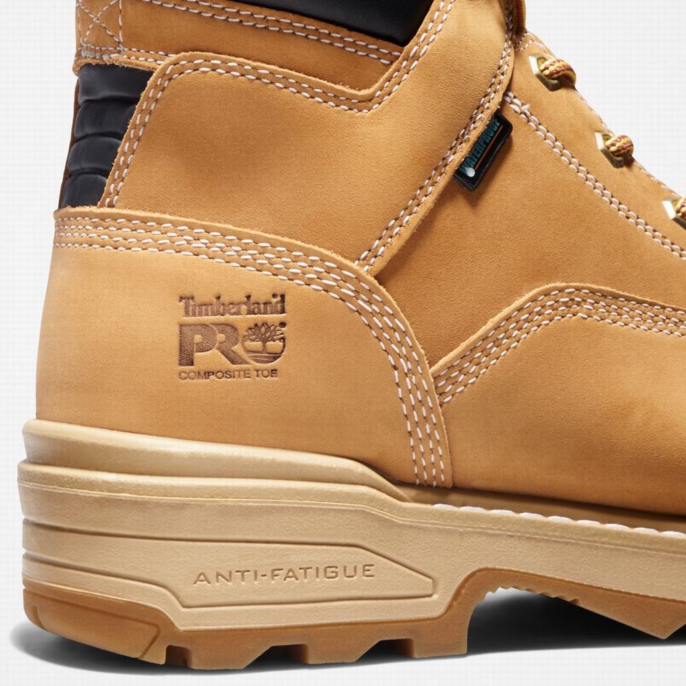 Timberland Resistor 6