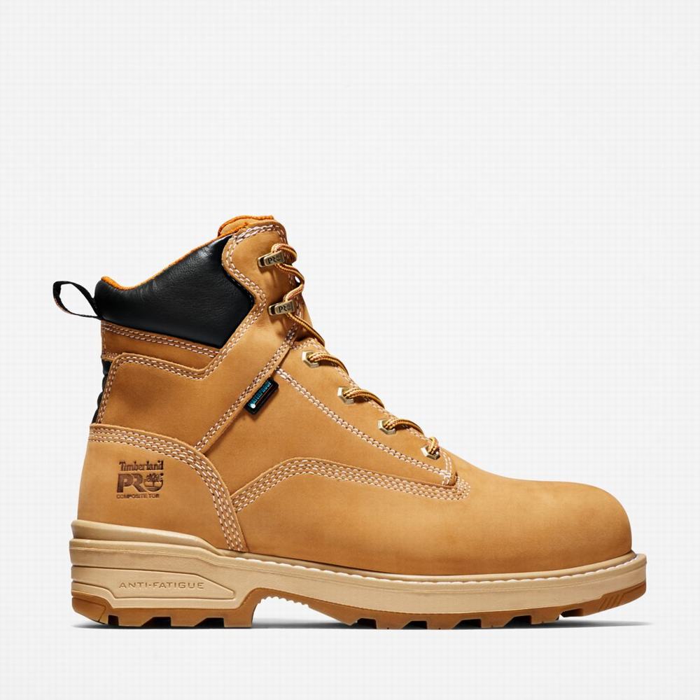 Timberland Resistor 6\