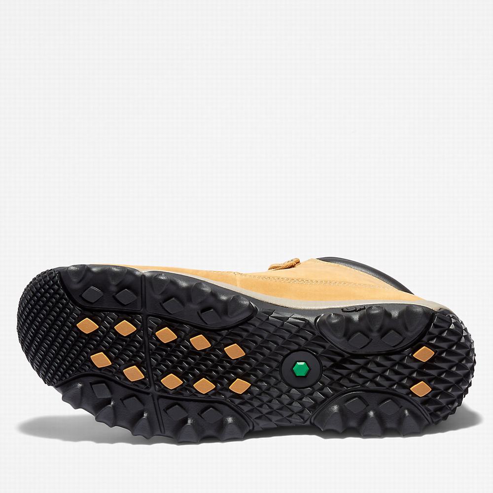 Timberland Rime Ridge Mid Bot Erkek Sarı | TR-4352P