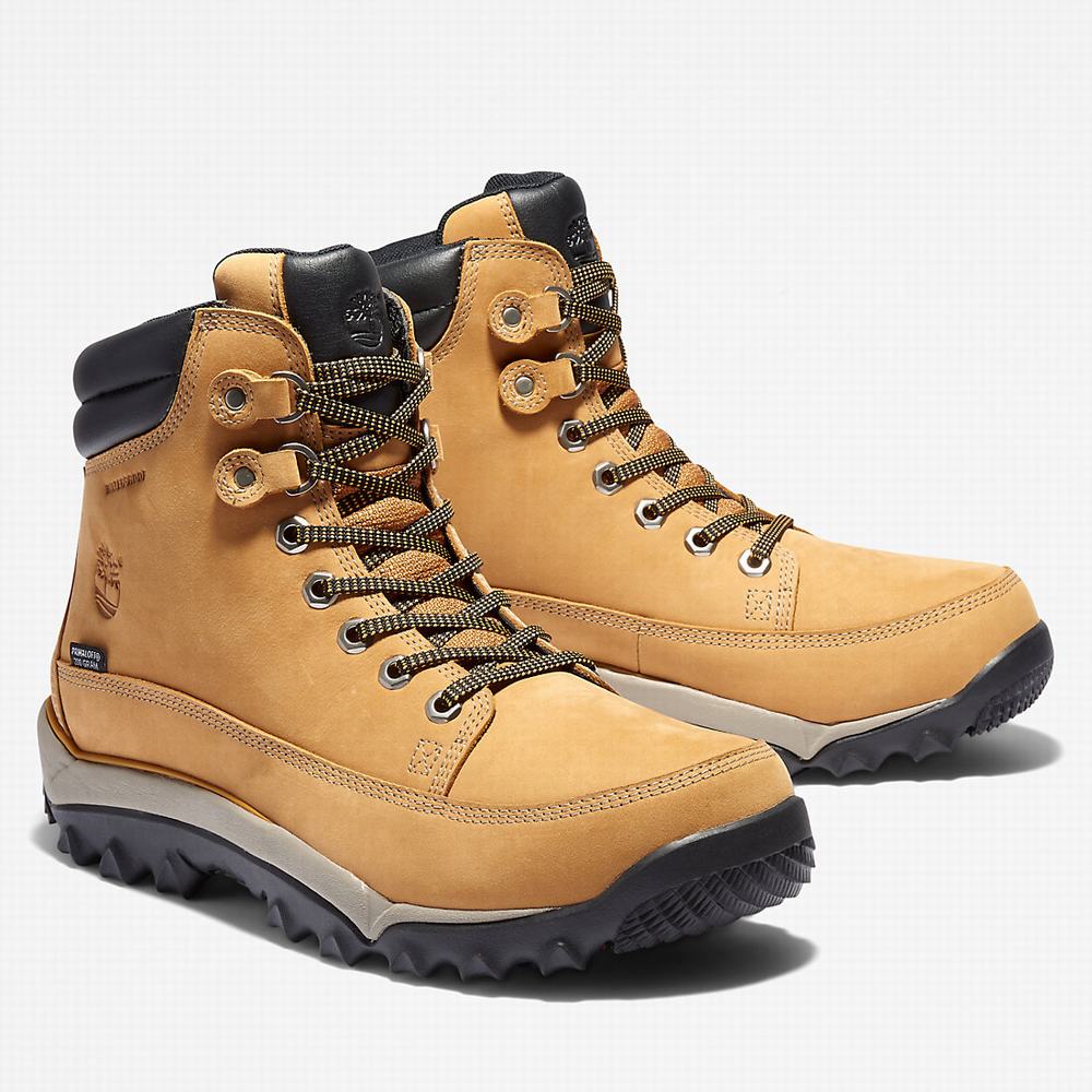 Timberland Rime Ridge Mid Bot Erkek Sarı | TR-4352P