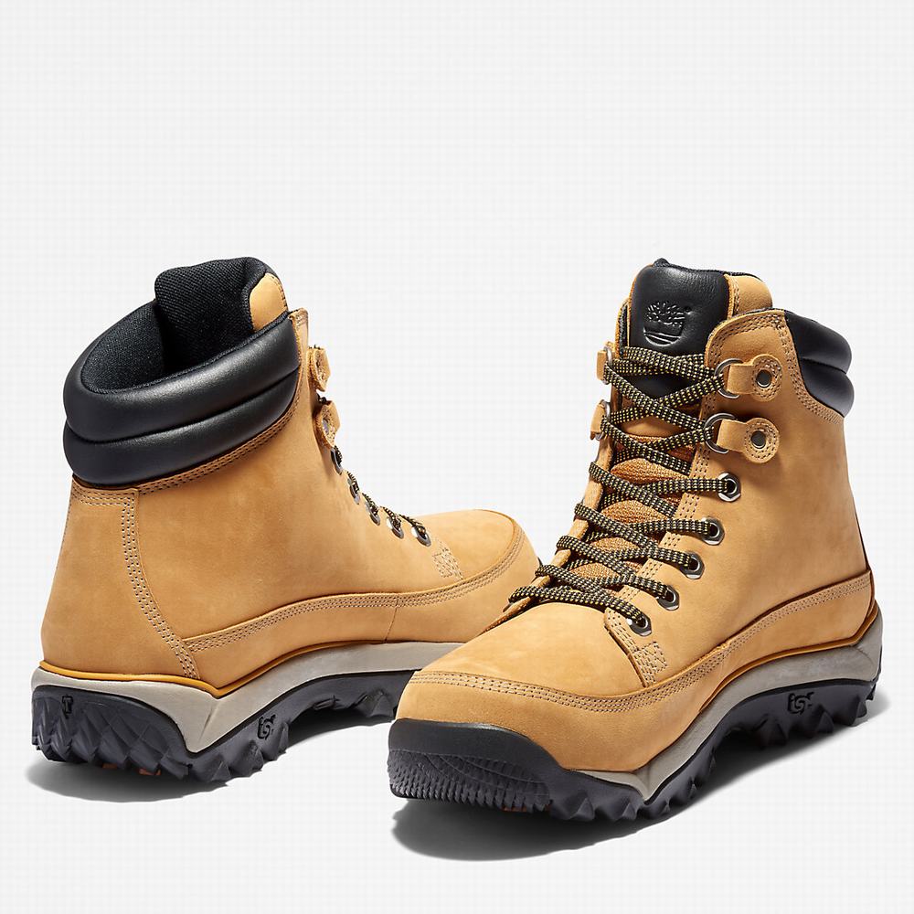 Timberland Rime Ridge Mid Bot Erkek Sarı | TR-4352P
