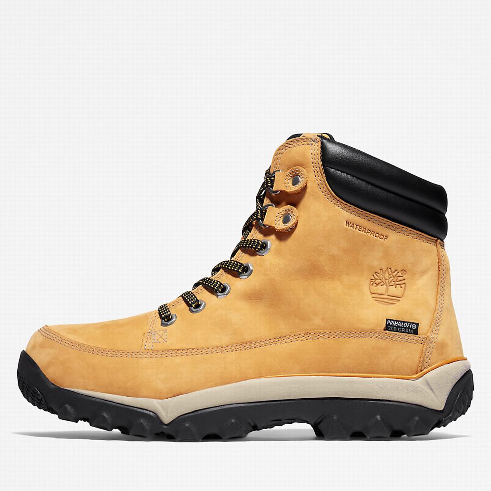 Timberland Rime Ridge Mid Bot Erkek Sarı | TR-4352P