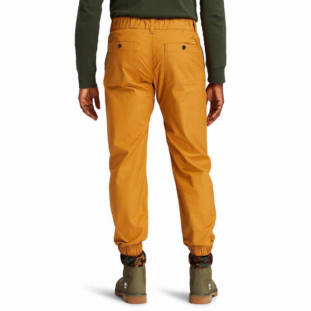 Timberland Ripstop Climbing Pantolon Erkek Sarı | TR-2071P