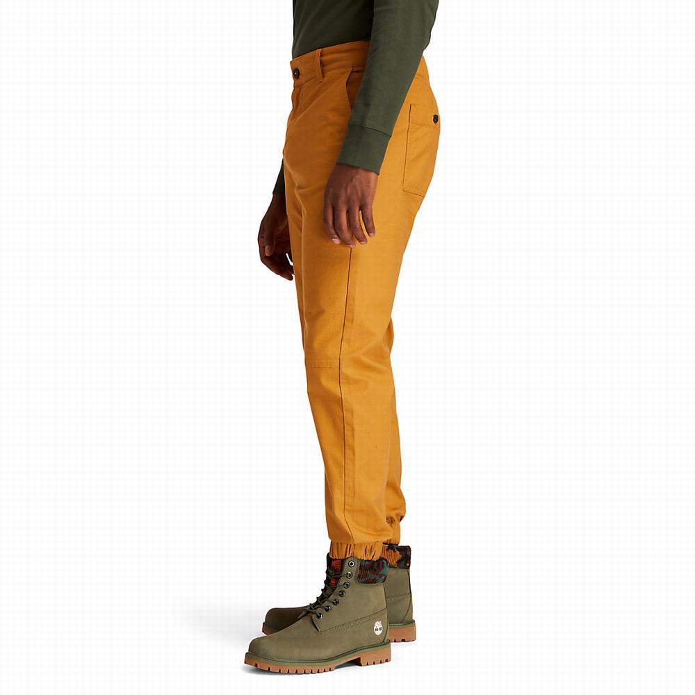 Timberland Ripstop Climbing Pantolon Erkek Sarı | TR-2071P