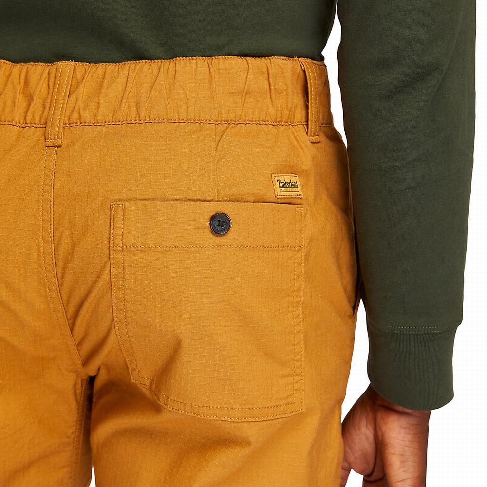 Timberland Ripstop Climbing Pantolon Erkek Sarı | TR-2071P