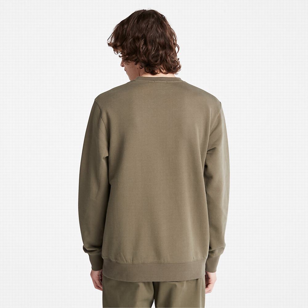 Timberland Rüzgâr, Su, Earth and Sky Crewneck Tişörtü Erkek Koyu Yeşil | TR-7209M