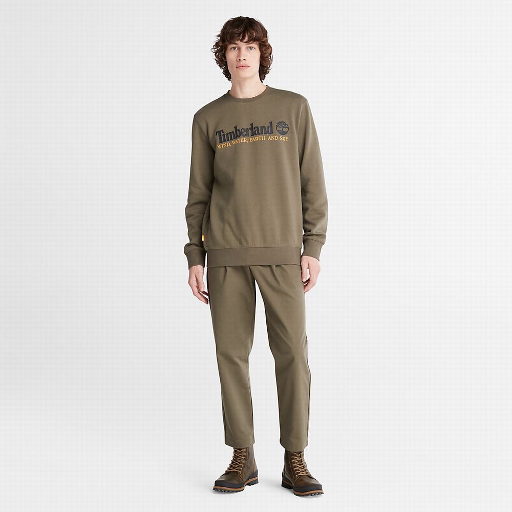 Timberland Rüzgâr, Su, Earth and Sky Crewneck Tişörtü Erkek Koyu Yeşil | TR-7209M