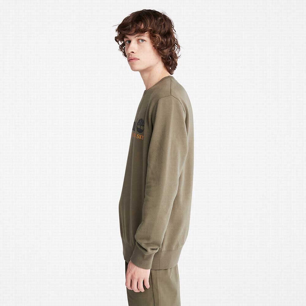Timberland Rüzgâr, Su, Earth and Sky Crewneck Tişörtü Erkek Koyu Yeşil | TR-7209M