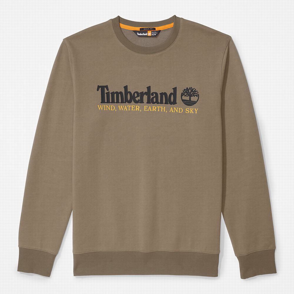 Timberland Rüzgâr, Su, Earth and Sky Crewneck Tişörtü Erkek Koyu Yeşil | TR-7209M