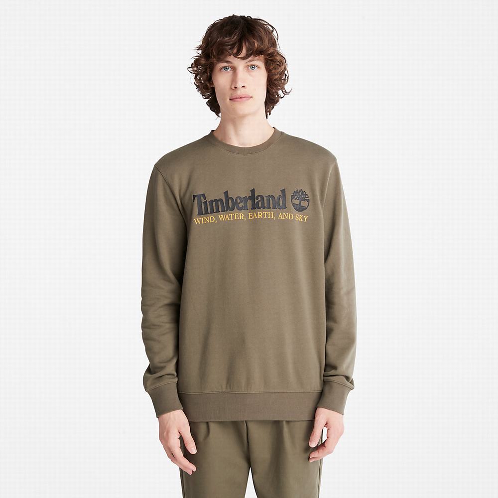 Timberland Rüzgâr, Su, Earth and Sky Crewneck Tişörtü Erkek Koyu Yeşil | TR-7209M