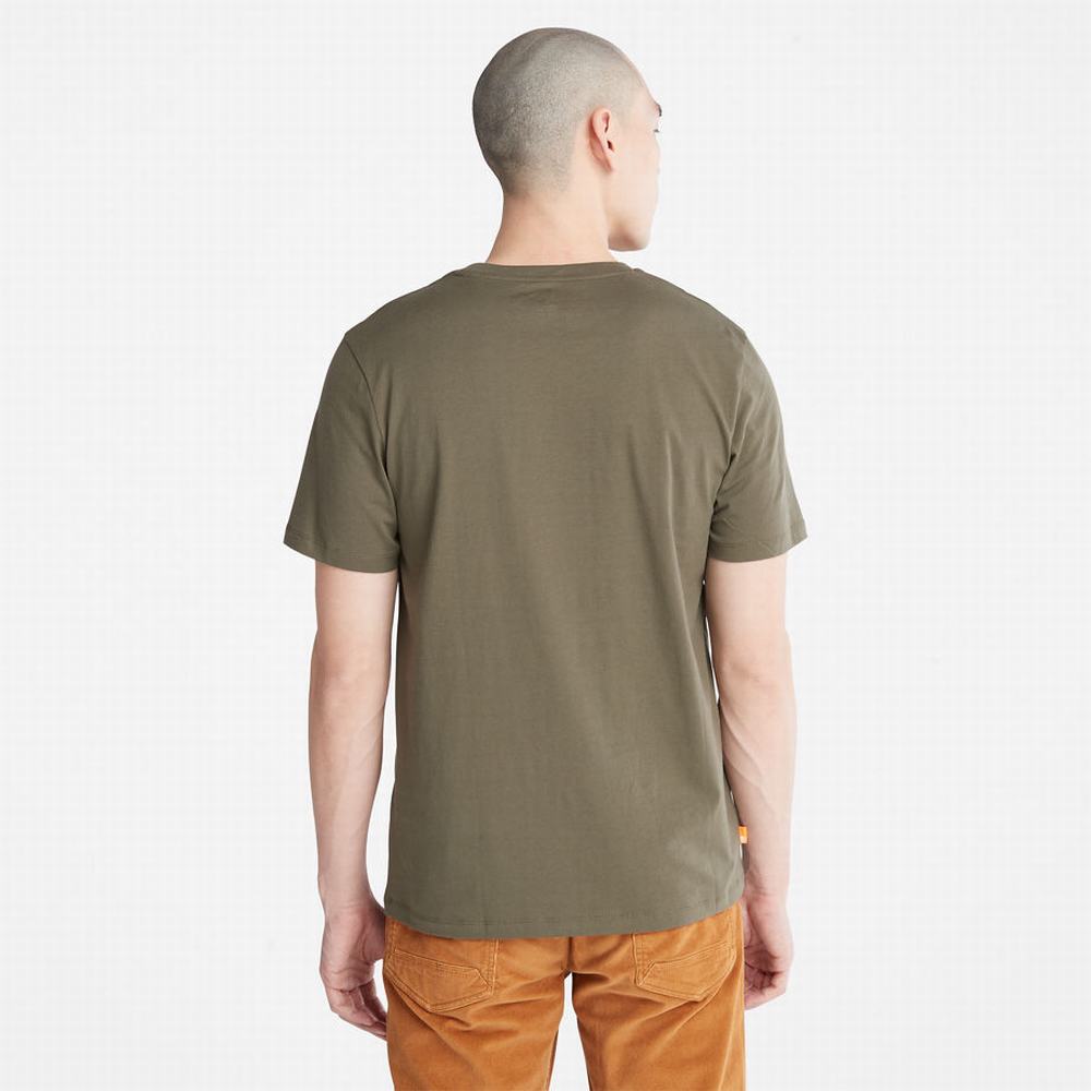 Timberland Rüzgâr, Su, Earth, and Sky Tişört Erkek Koyu Yeşil | TR-3496E