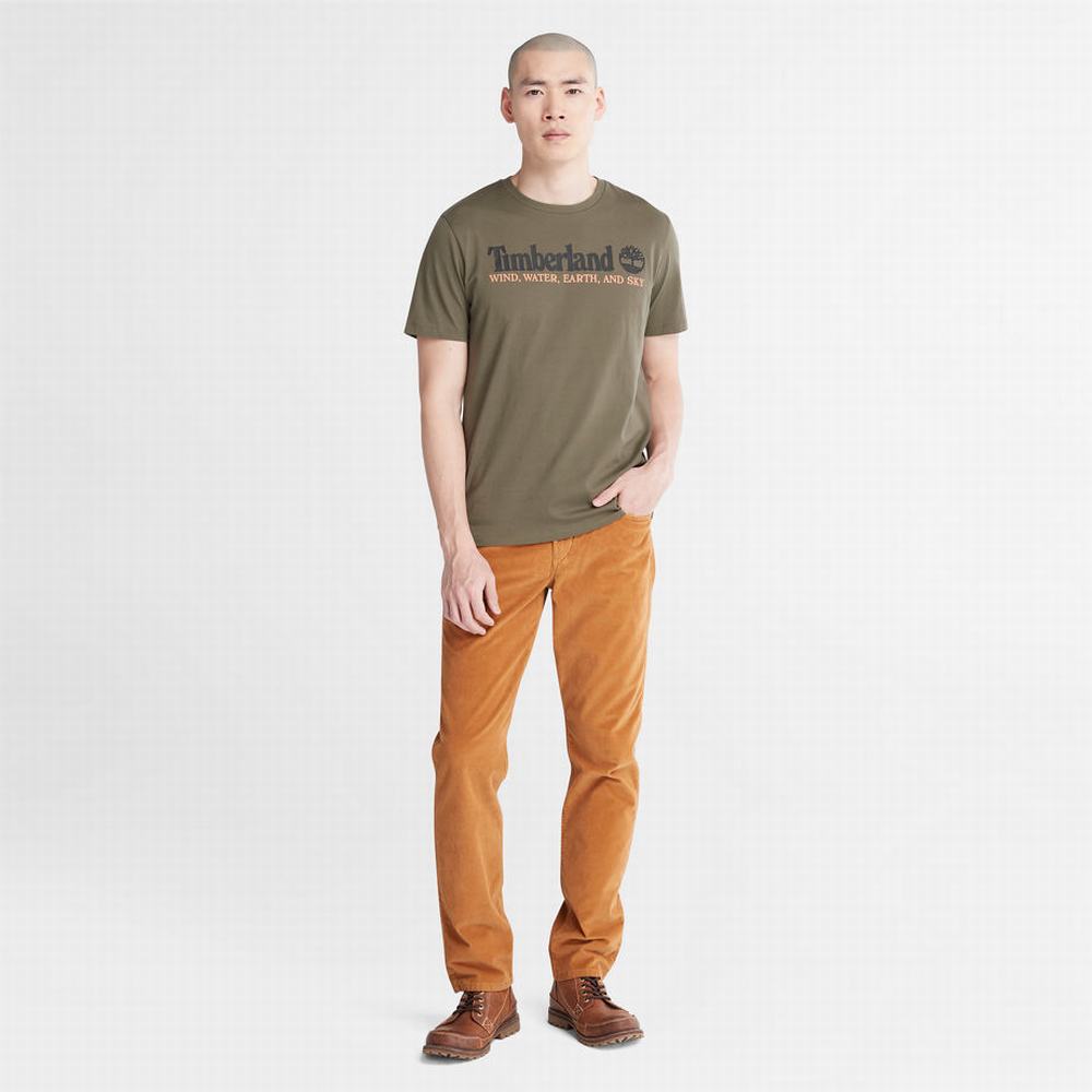Timberland Rüzgâr, Su, Earth, and Sky Tişört Erkek Koyu Yeşil | TR-3496E