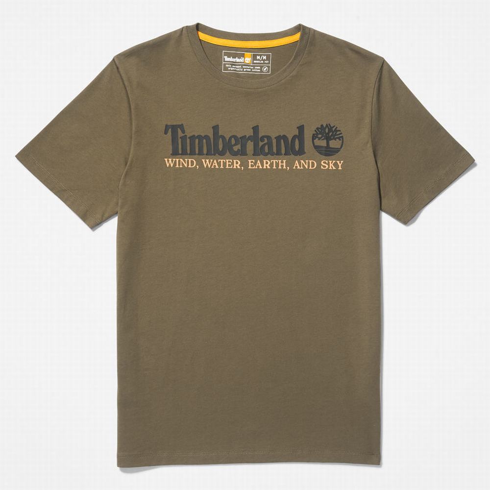 Timberland Rüzgâr, Su, Earth, and Sky Tişört Erkek Koyu Yeşil | TR-3496E