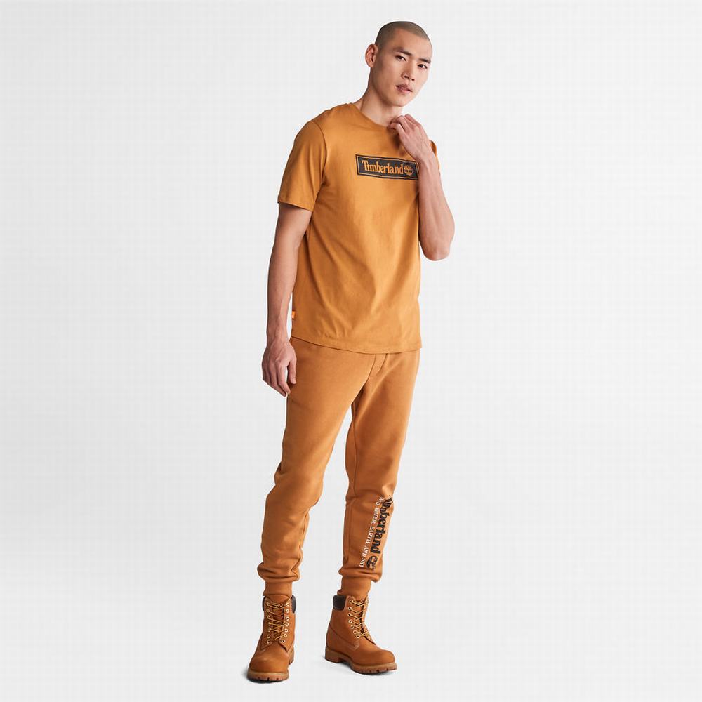 Timberland Rüzgâr, Su, Earth, and Sky Tracksuit Bottoms Pantolon Erkek Açık Kahverengi | TR-1384F