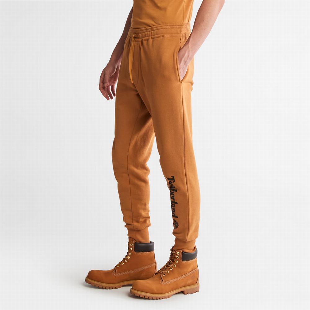 Timberland Rüzgâr, Su, Earth, and Sky Tracksuit Bottoms Pantolon Erkek Açık Kahverengi | TR-1384F