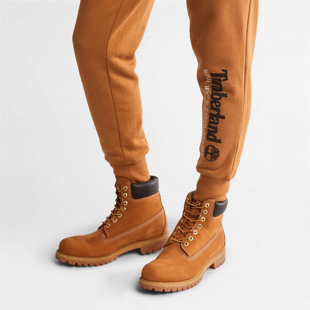 Timberland Rüzgâr, Su, Earth, and Sky Tracksuit Bottoms Pantolon Erkek Açık Kahverengi | TR-1384F