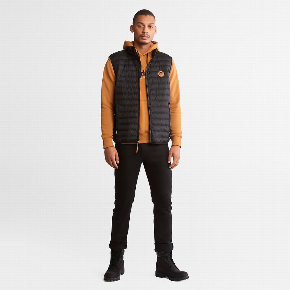 Timberland Rüzgâr, Su, Earth and Sky™ Kapüşonlu Sweatshirt Erkek Kahverengi | TR-5706V