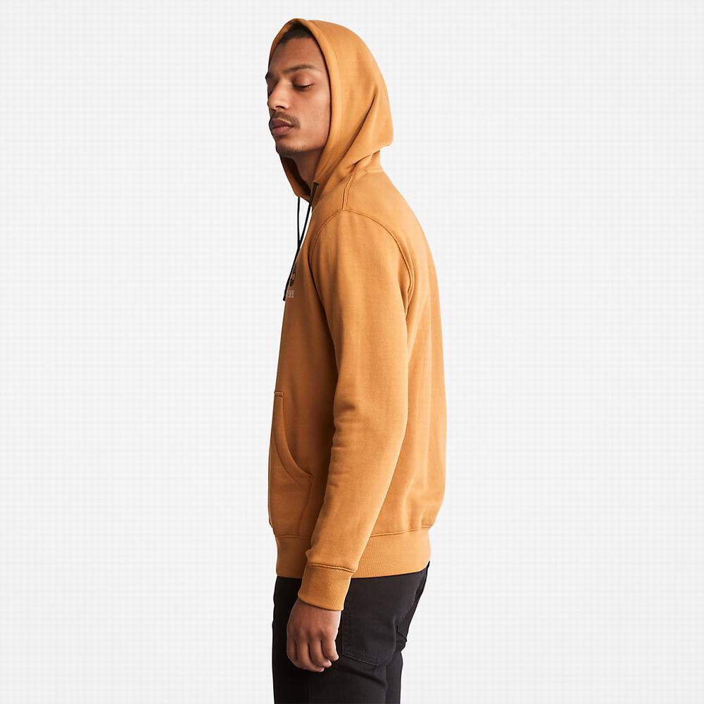 Timberland Rüzgâr, Su, Earth and Sky™ Kapüşonlu Sweatshirt Erkek Kahverengi | TR-5706V