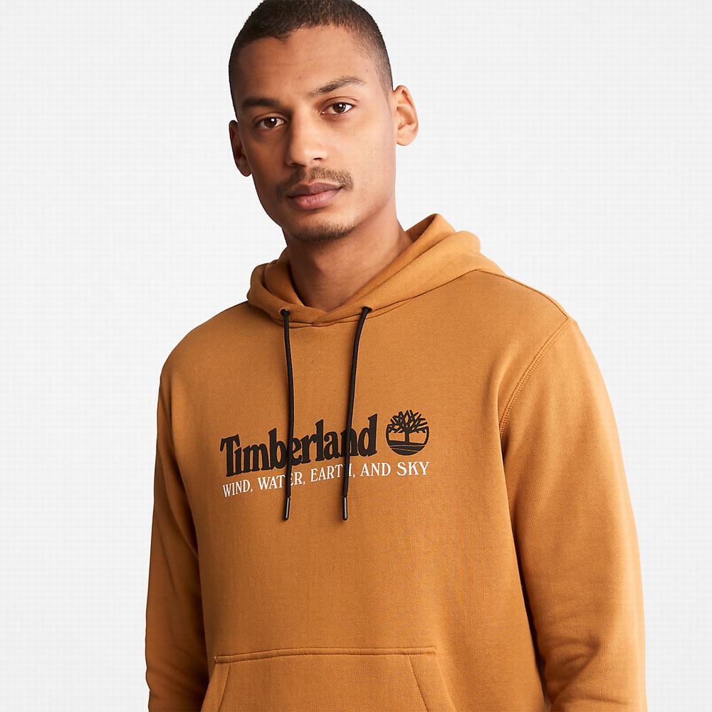 Timberland Rüzgâr, Su, Earth and Sky™ Kapüşonlu Sweatshirt Erkek Kahverengi | TR-5706V