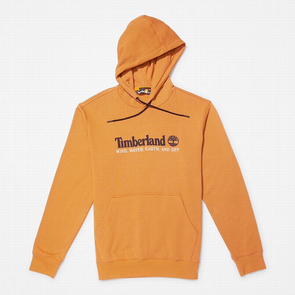 Timberland Rüzgâr, Su, Earth and Sky™ Kapüşonlu Sweatshirt Erkek Kahverengi | TR-5706V