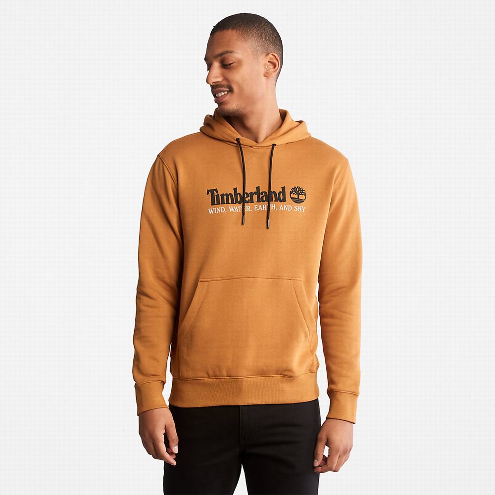 Timberland Rüzgâr, Su, Earth and Sky™ Kapüşonlu Sweatshirt Erkek Kahverengi | TR-5706V