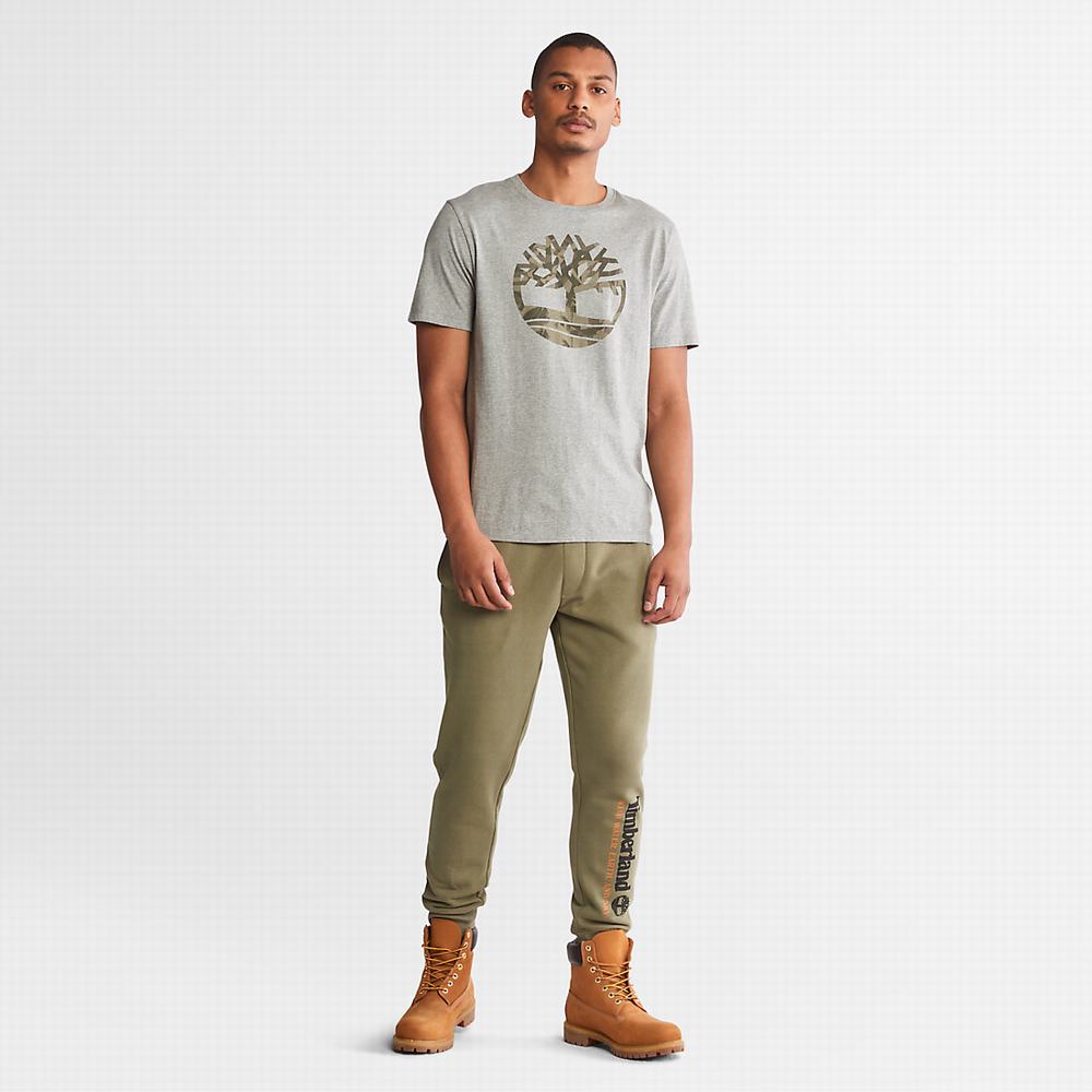 Timberland Rüzgâr, Su, Earth, and Sky™ Sweatpants Pantolon Erkek Yeşil | TR-2736Q