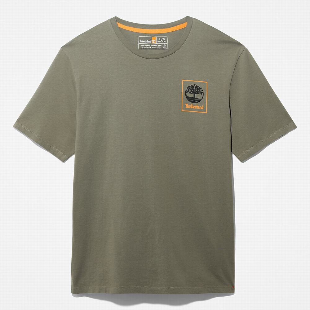 Timberland Rüzgâr, Su, Earth and Sky™ Tişört Erkek Yeşil | TR-6295E