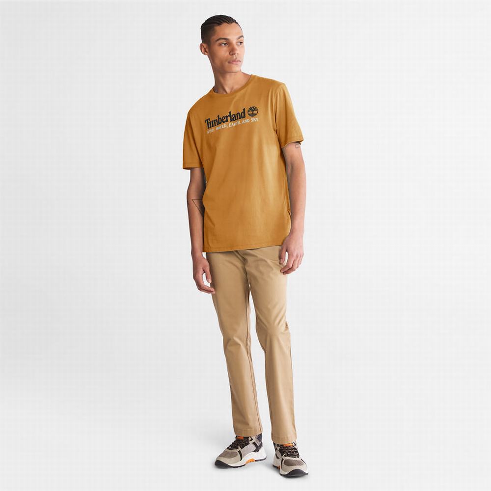 Timberland Rüzgâr, Su, Earth and Sky™ Tişört Erkek Kahverengi | TR-6470R