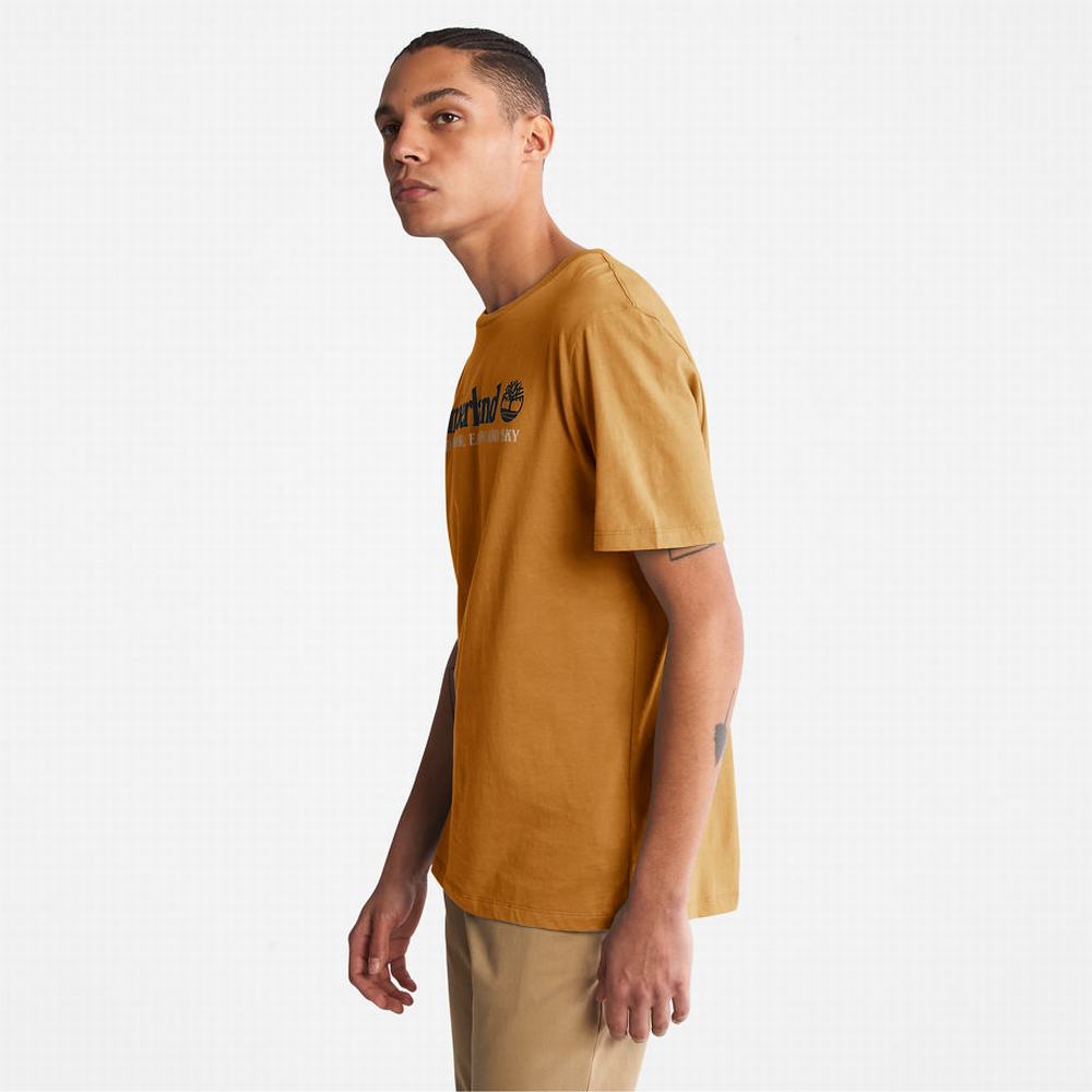 Timberland Rüzgâr, Su, Earth and Sky™ Tişört Erkek Kahverengi | TR-6470R