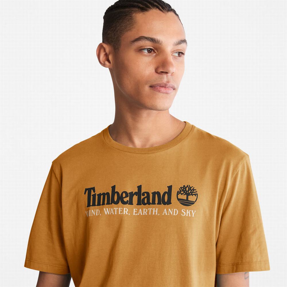 Timberland Rüzgâr, Su, Earth and Sky™ Tişört Erkek Kahverengi | TR-6470R