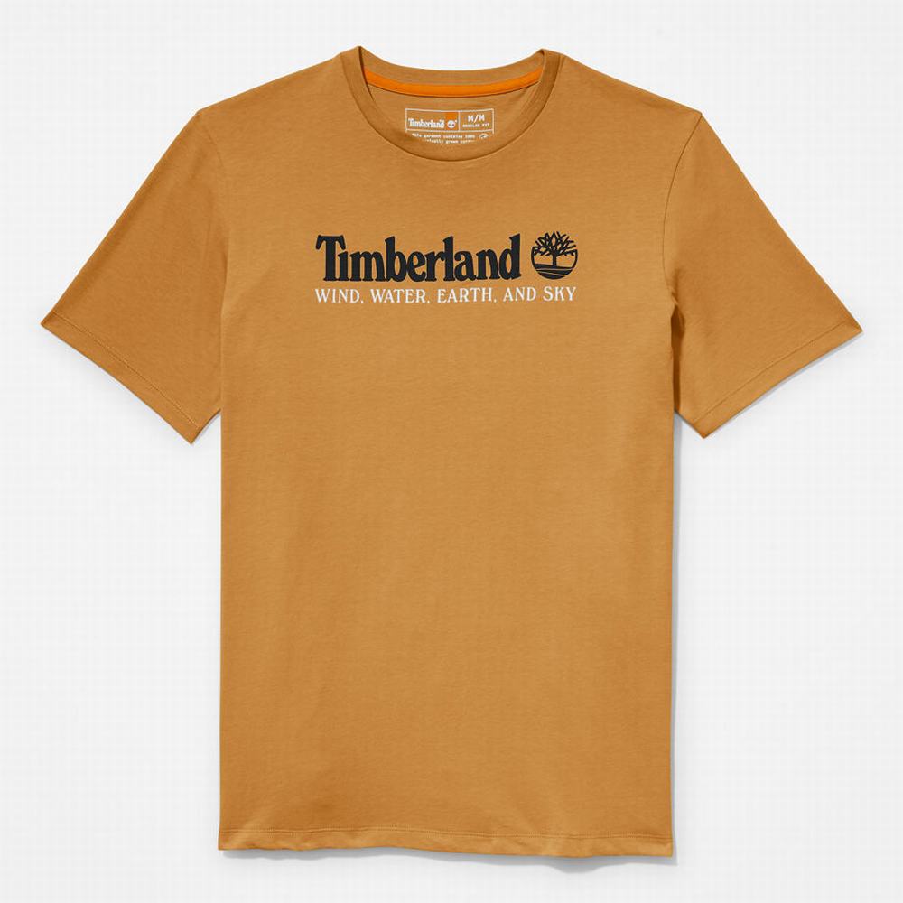 Timberland Rüzgâr, Su, Earth and Sky™ Tişört Erkek Kahverengi | TR-6470R