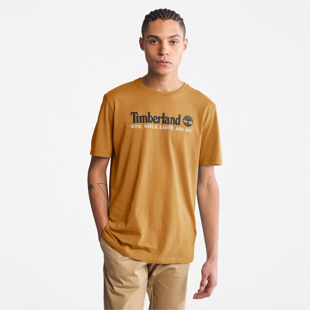 Timberland Rüzgâr, Su, Earth and Sky™ Tişört Erkek Kahverengi | TR-6470R