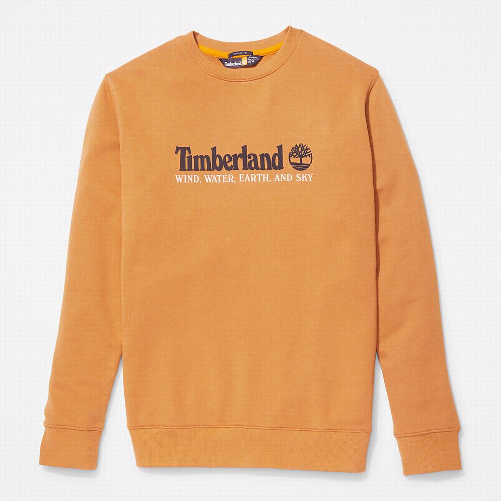 Timberland Rüzgâr, Su, Earth and Sky™ Tişörtü Erkek Sarı | TR-8103R