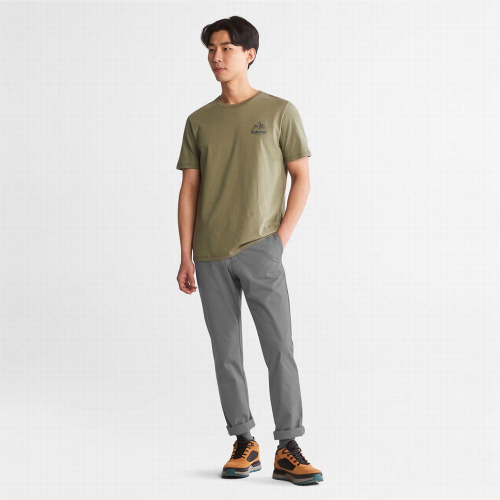 Timberland Sargent Lake Chinos Pantolon Erkek Gri | TR-1374S