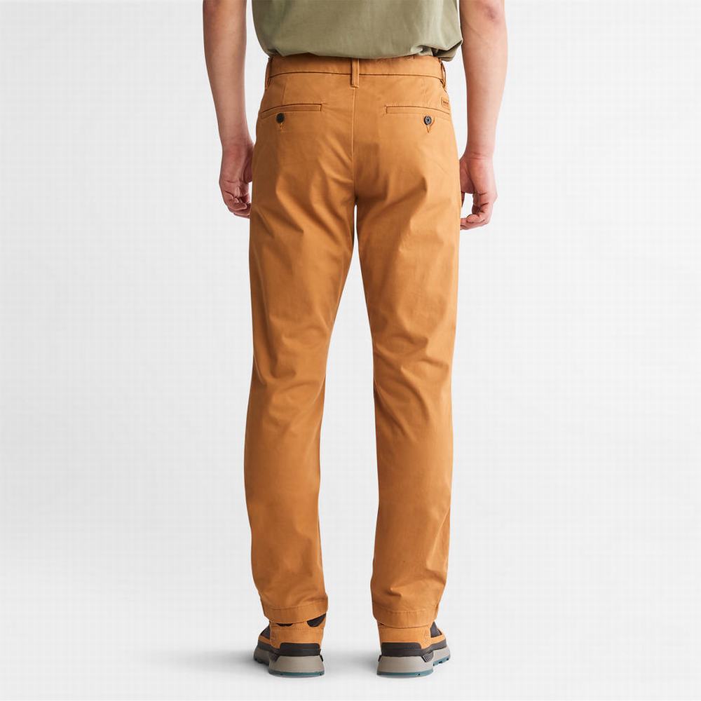 Timberland Sargent Lake Chinos Pantolon Erkek Sarı | TR-3279U