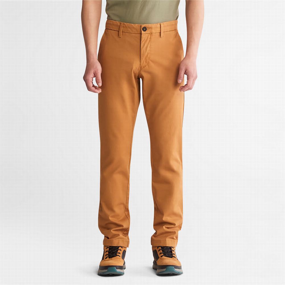 Timberland Sargent Lake Chinos Pantolon Erkek Sarı | TR-3279U