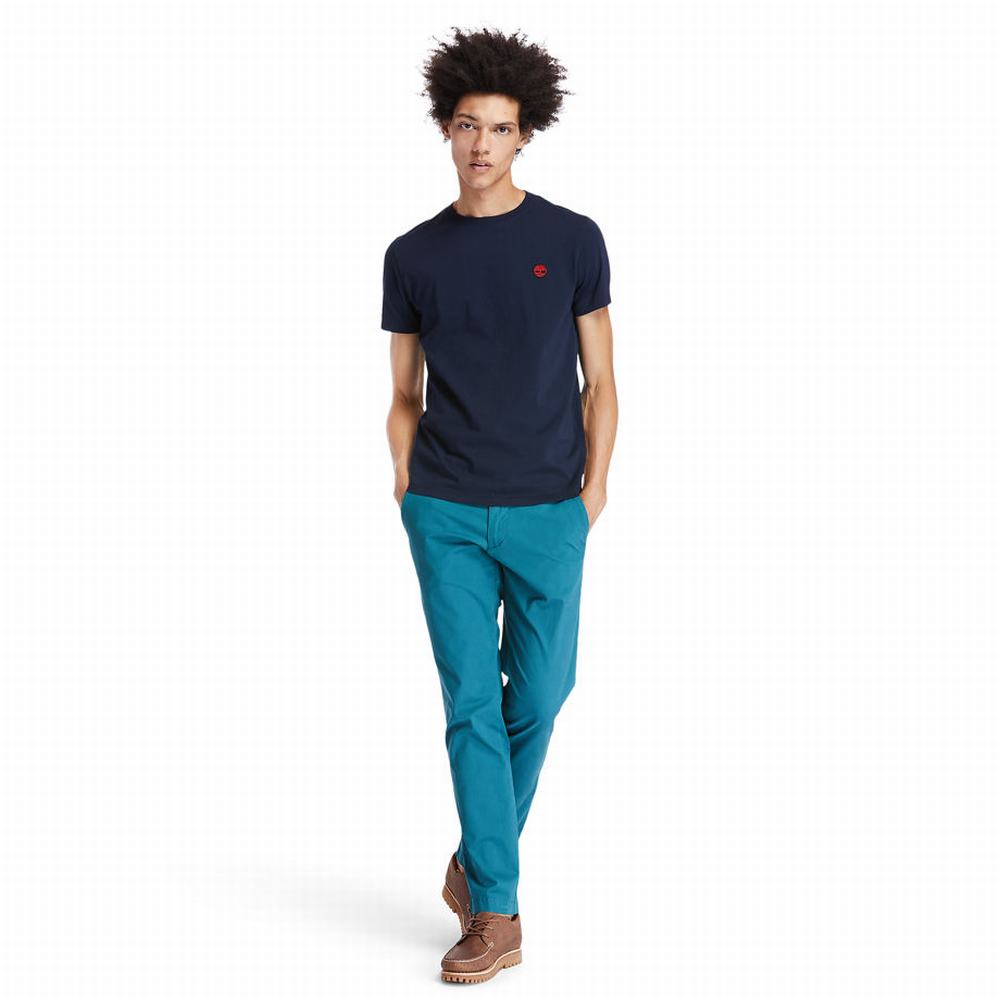 Timberland Sargent Lake Chinos Pantolon Erkek Turkuaz | TR-5034Z