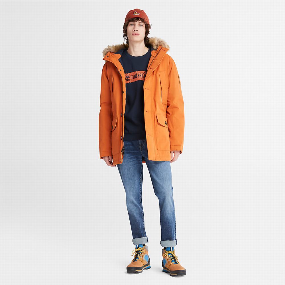 Timberland Scar Ridge DryVent™ Parka Ceketler Erkek Turuncu | TR-7214U