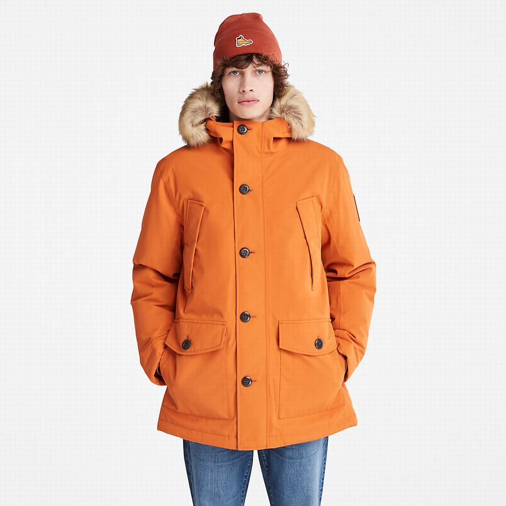 Timberland Scar Ridge DryVent™ Parka Ceketler Erkek Turuncu | TR-7214U