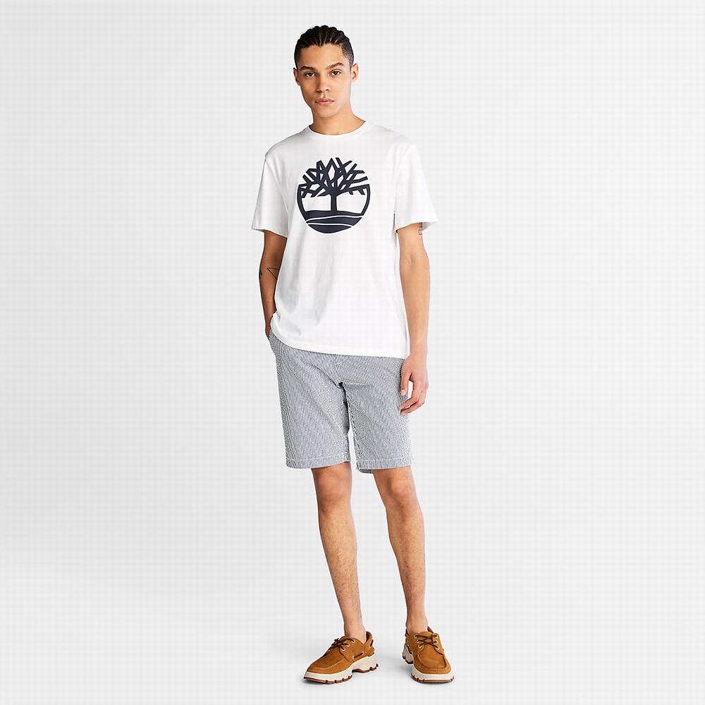 Timberland Seersucker Şort Erkek Mavi | TR-8042P