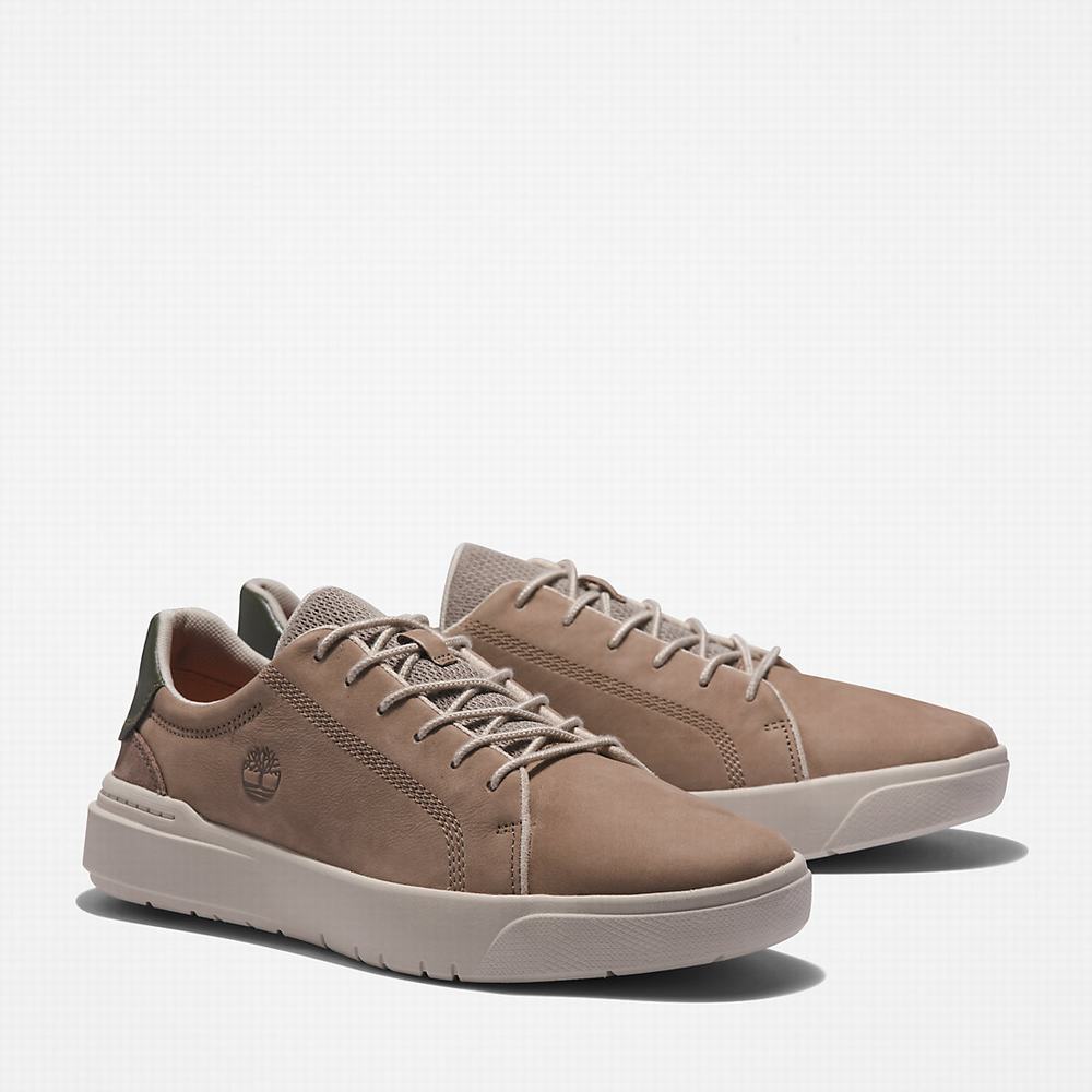 Timberland Seneca Bay Leather Spor Ayakkabı Erkek Bej Rengi | TR-1457S