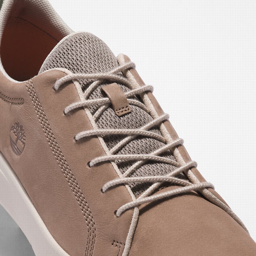 Timberland Seneca Bay Leather Spor Ayakkabı Erkek Bej Rengi | TR-1457S